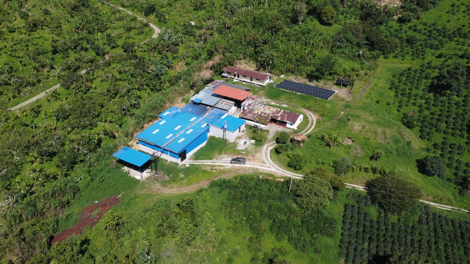 Aerial view of a El Vergel coffee estate with blue roof surrounded by green forest