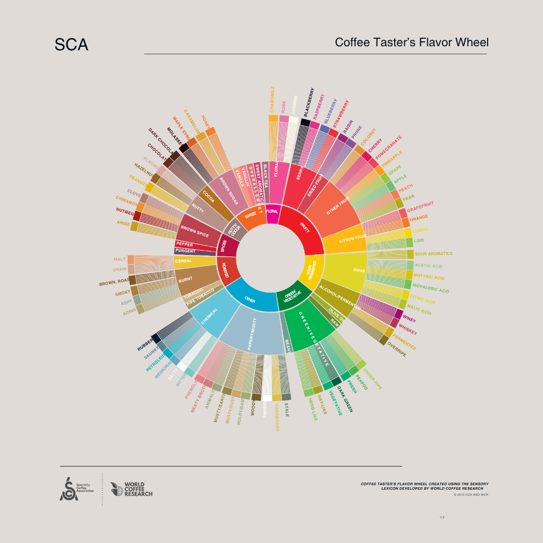 Palate Development w/ Special Guest: Coffee Destiny | Aug 14th | Caffeinated Classroom