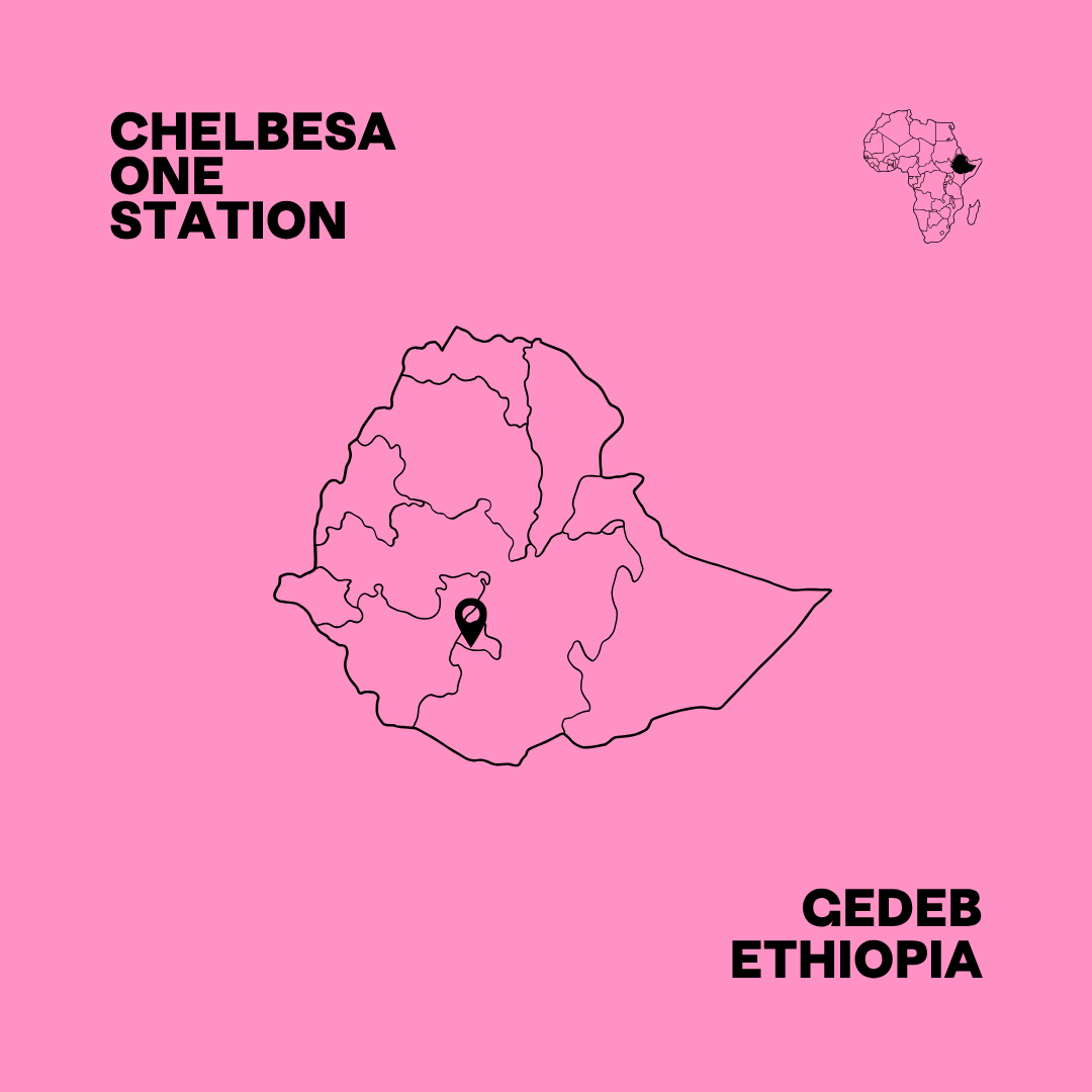 map of chelbesa one washing station in gedeb ethiopia