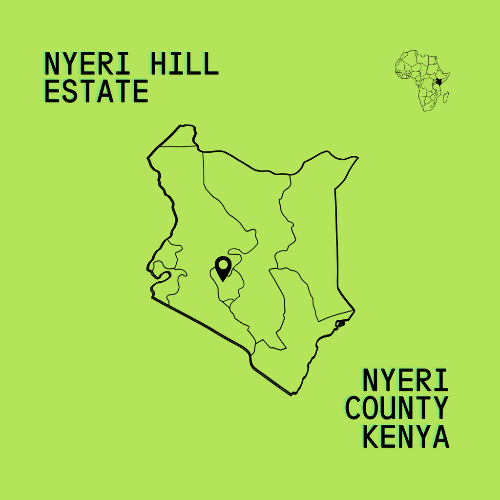 Kenya Nyeri Hill