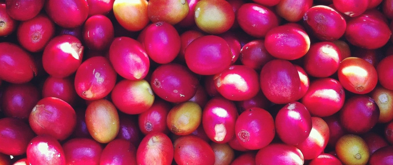 Mini Guide: Colombian Coffee