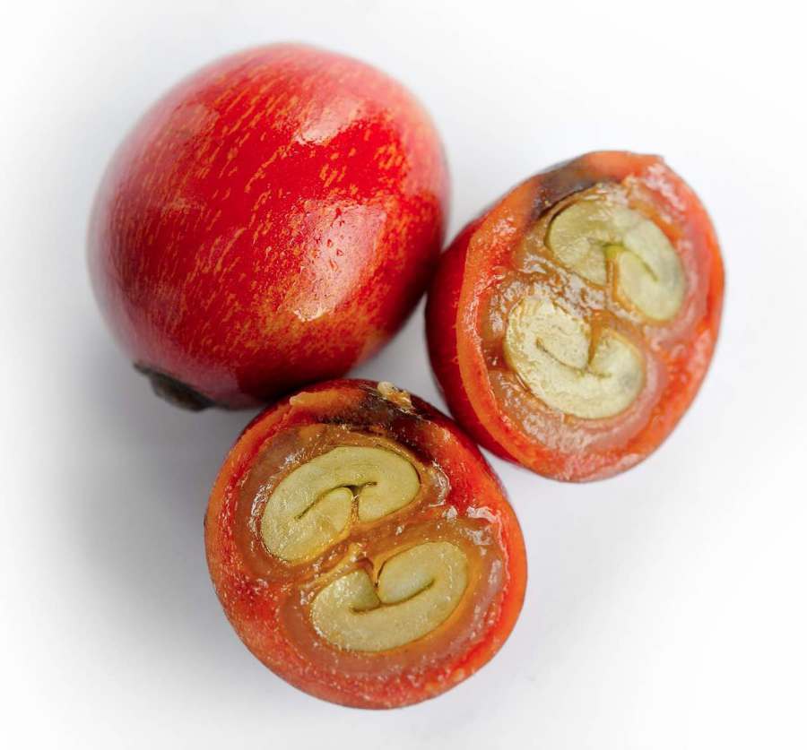 The Truth About Processing: Washed, Natural, Beyond...