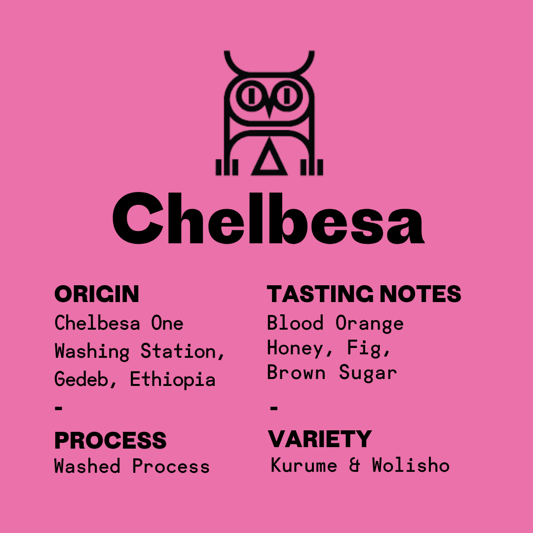 Ethiopia Chelbesa Washed