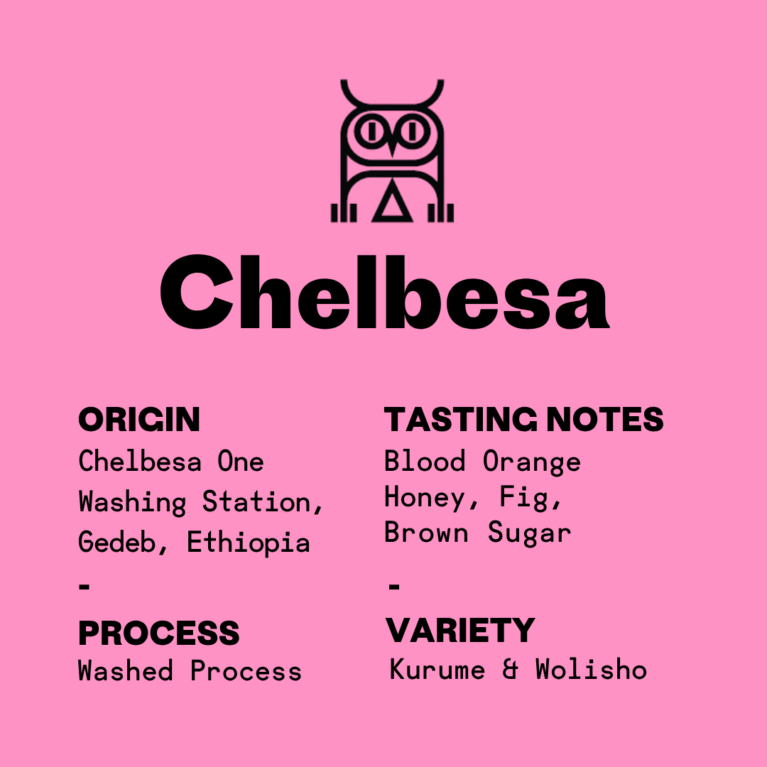 Ethiopia Chelbesa - New Lot!