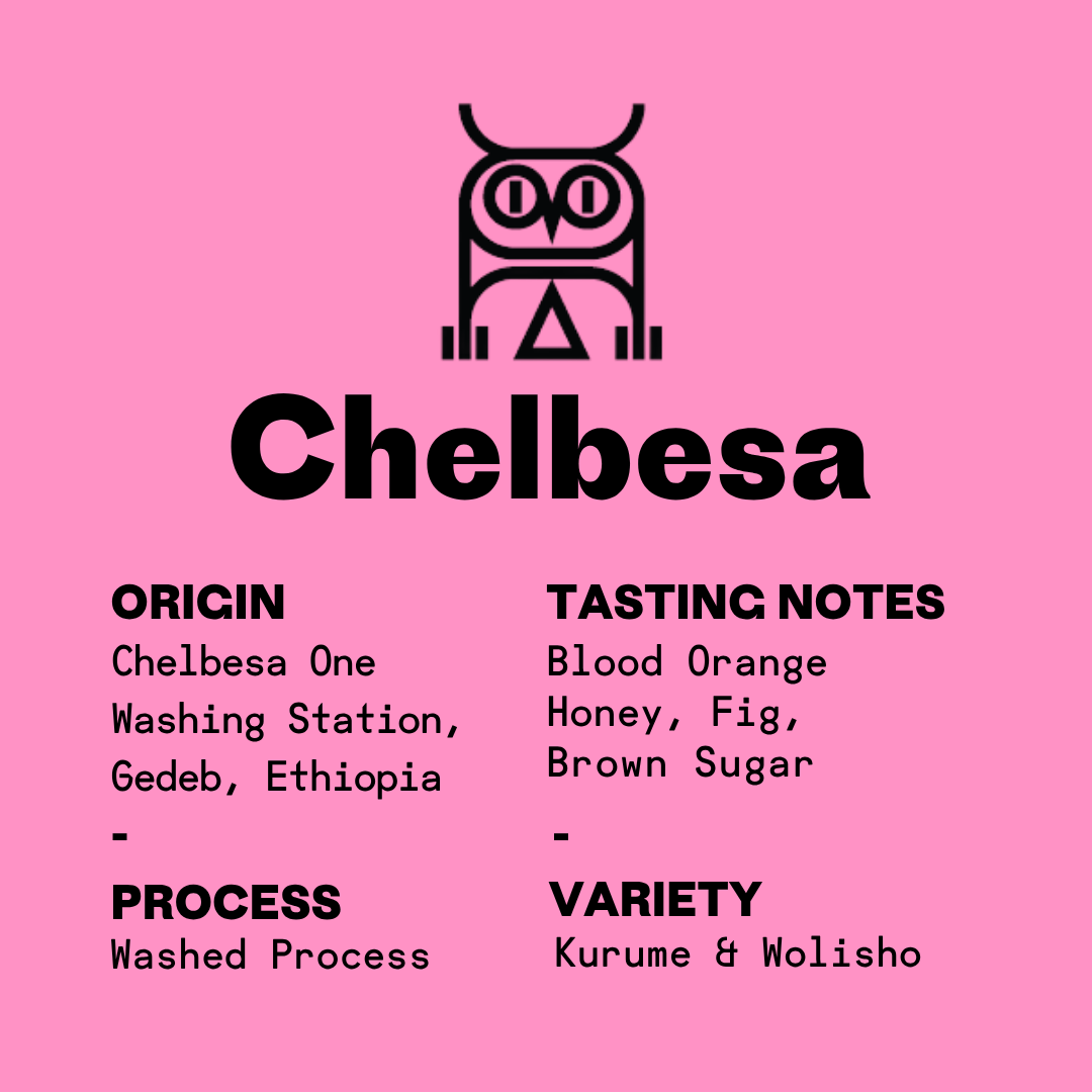 Coffee label card in black text on pink background that reads Chelbesa Ethiopia Washed Process with tasting notes of blood orange, honey, fig, brown sugar