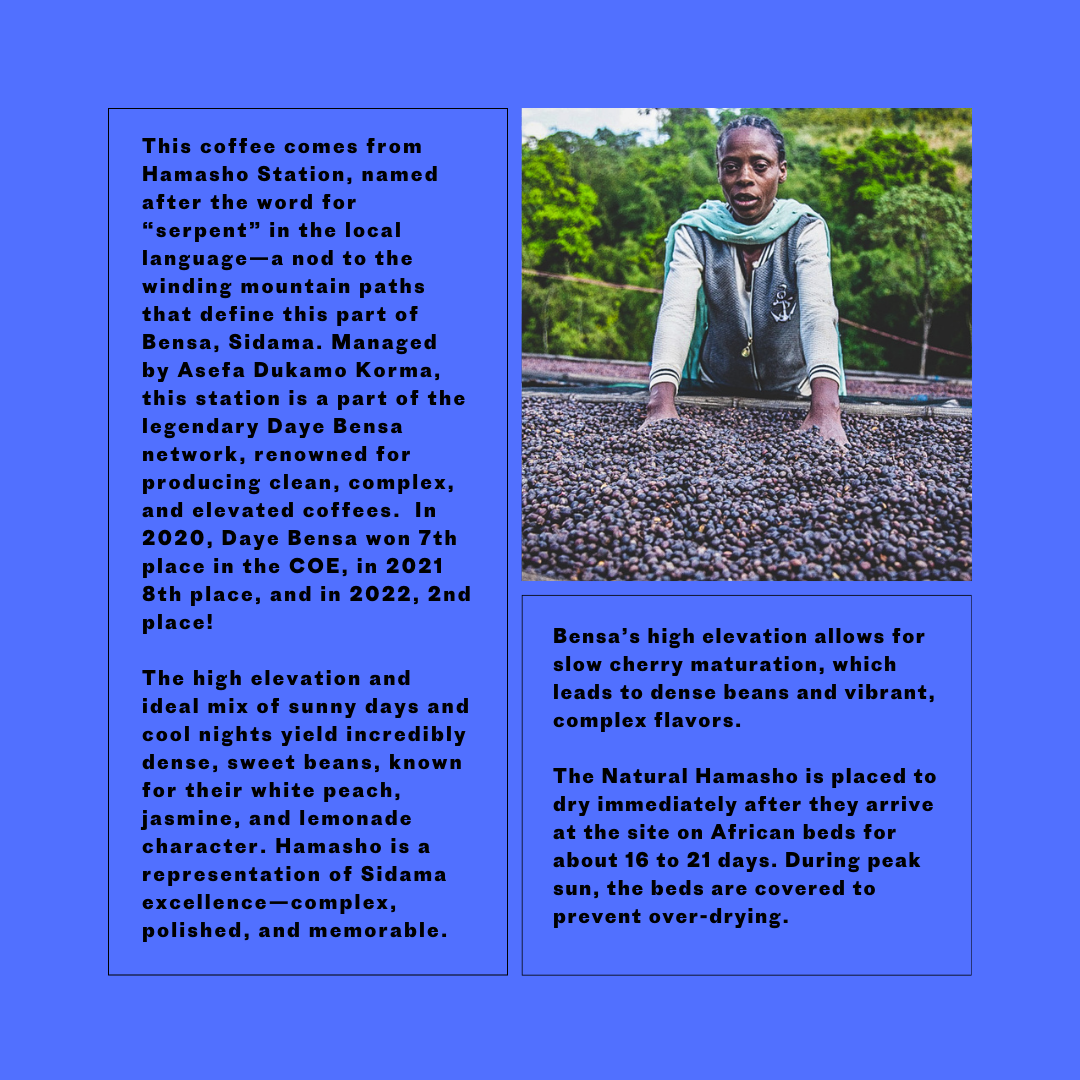 Second State Coffee | Ethiopia Hamasho Natural | Whole Bean Specialty