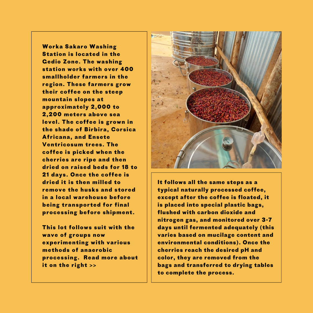 Ethiopia Sakaro Wine Process