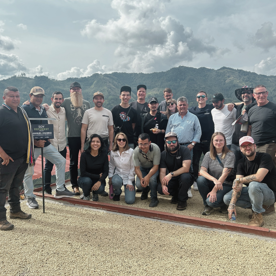 Colombia Natural Guamo Microlot | Reforest Project