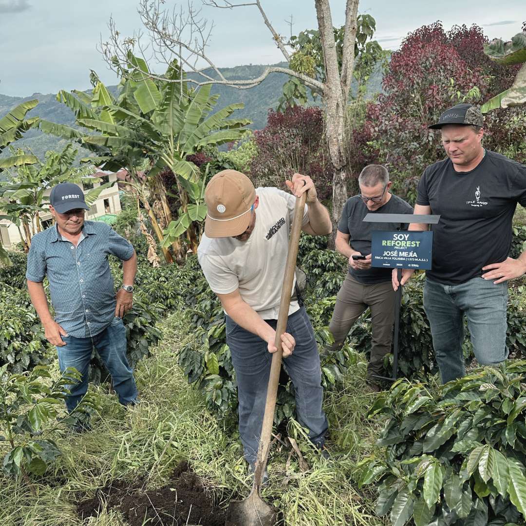 Colombia Natural Guamo Microlot | Reforest Project