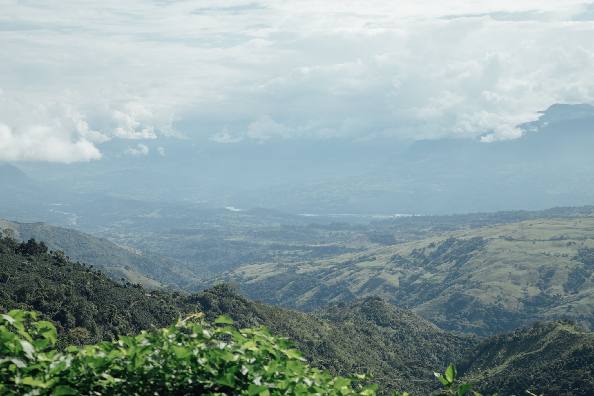 Colombia Natural Anaerobic