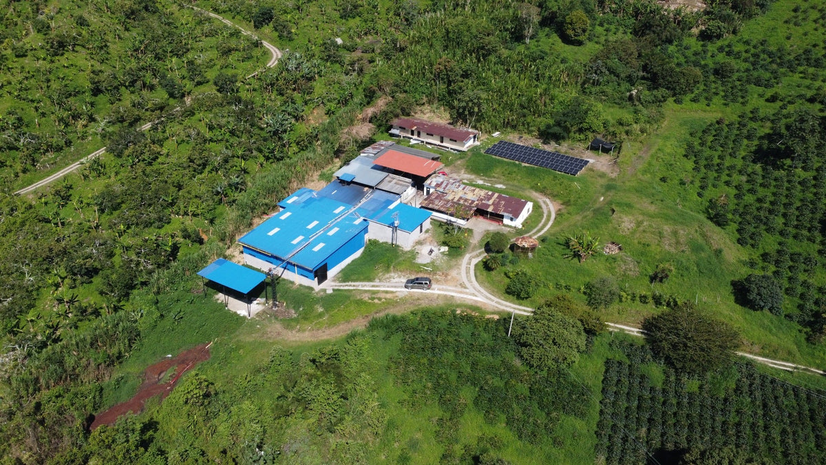 Aerial view of a El Vergel coffee estate with blue roof surrounded by green forest