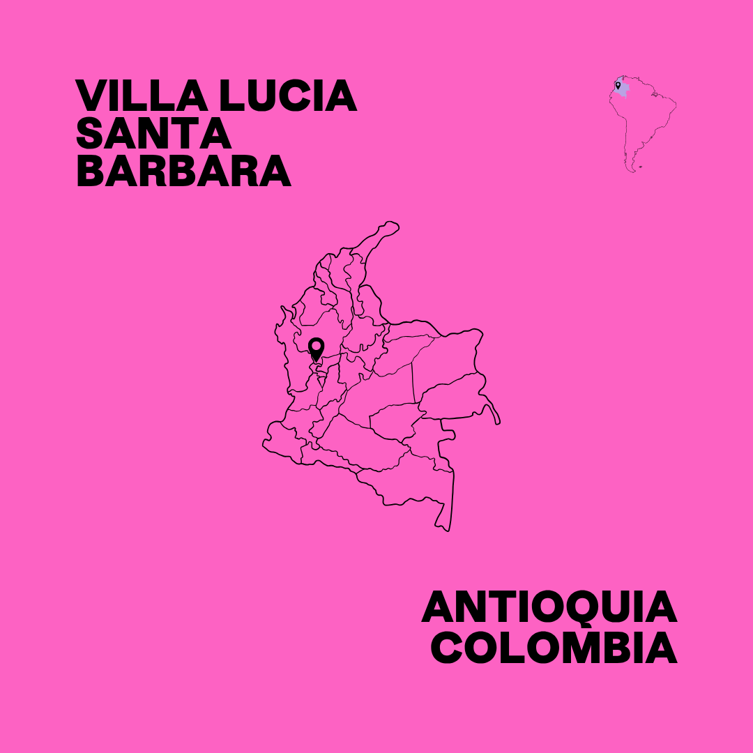 Colombia Natural Anaerobic