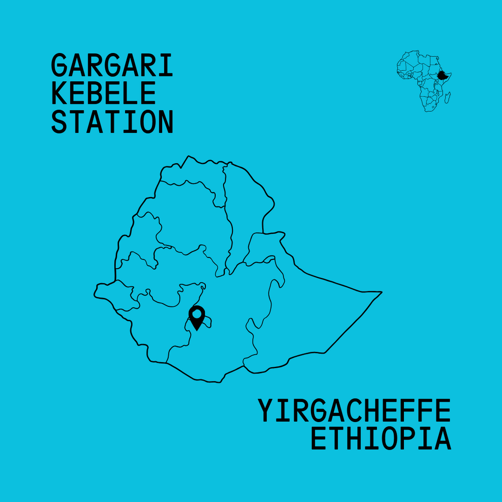 Ethiopia Gargari Washed