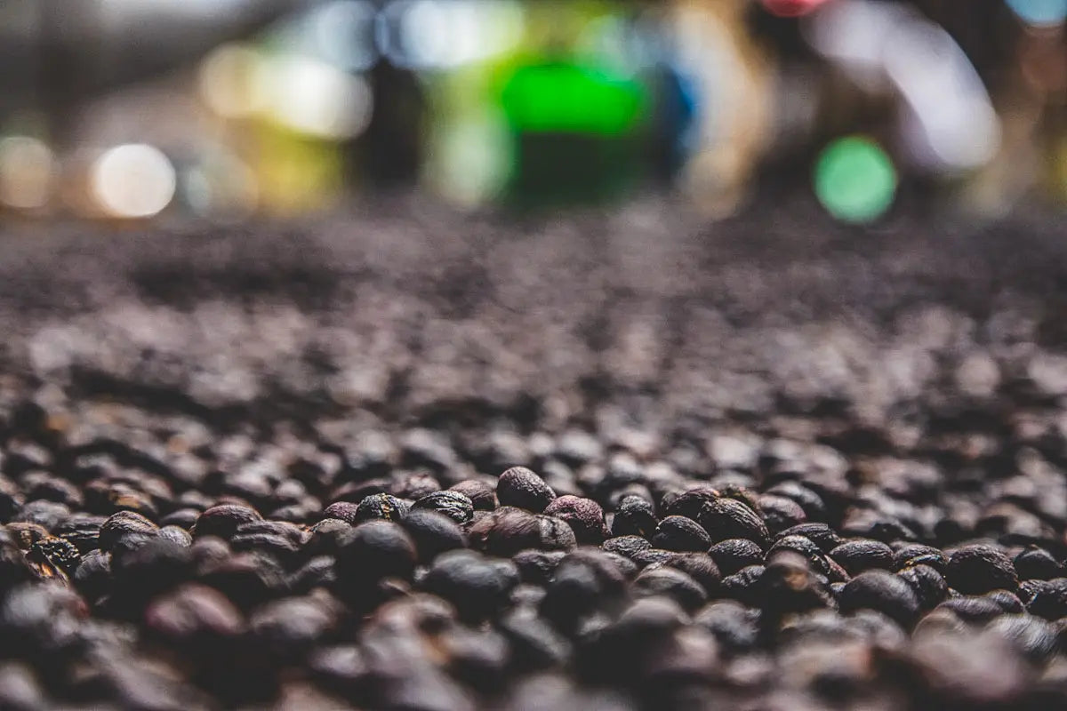 Ethiopia Hamasho Natural