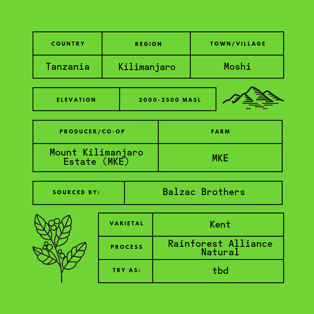 Tanzania - Mount Kilimanjaro