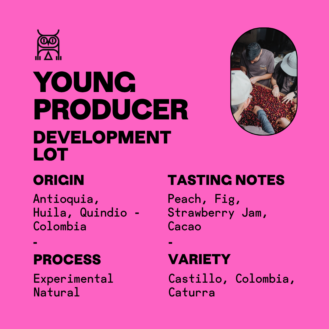 Colombia Young Producer Development Lot