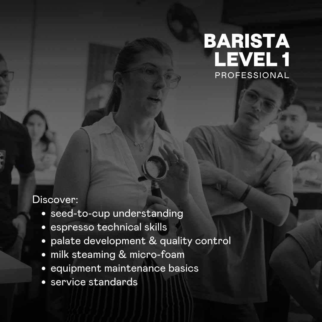 Caffeinated Classroom - Professional Barista