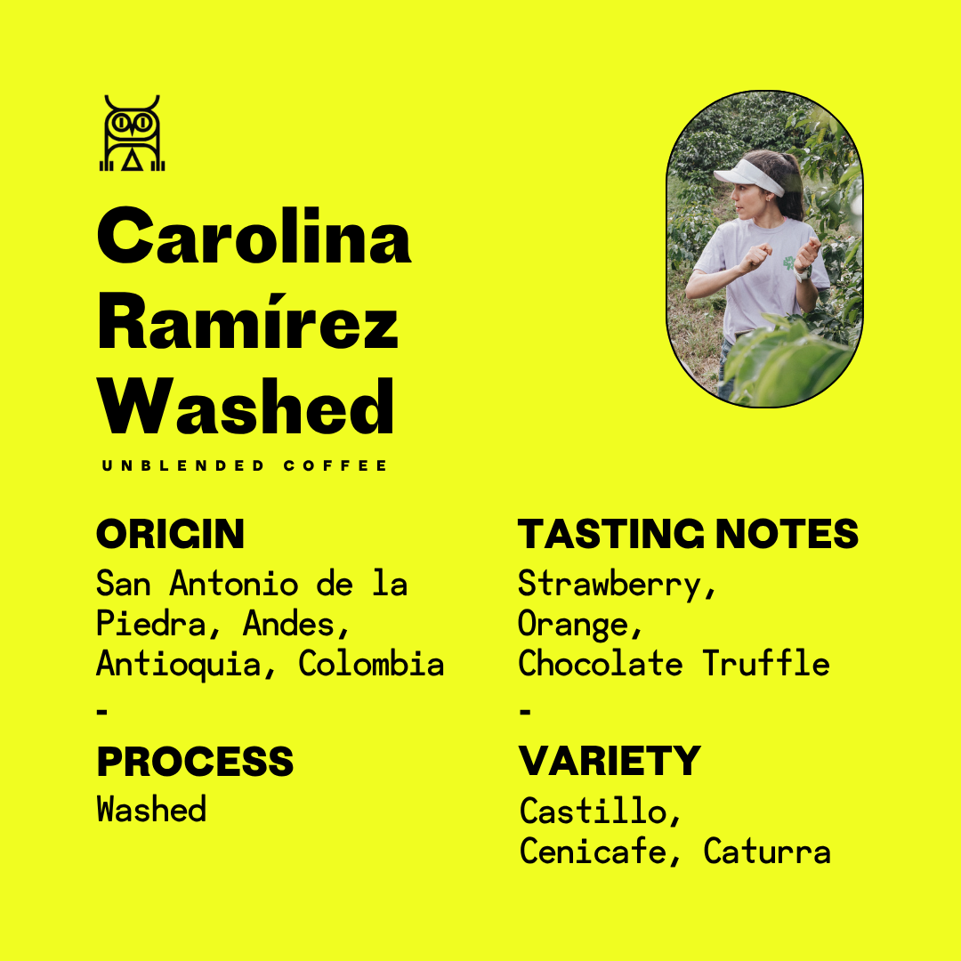 Carolina Ramírez Colombia Washed