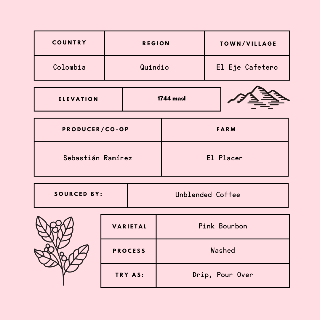 Sebastián Ramírez Pink Bourbon