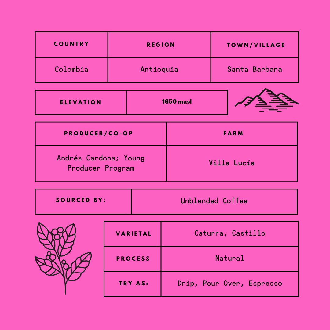Colombia Natural Anaerobic