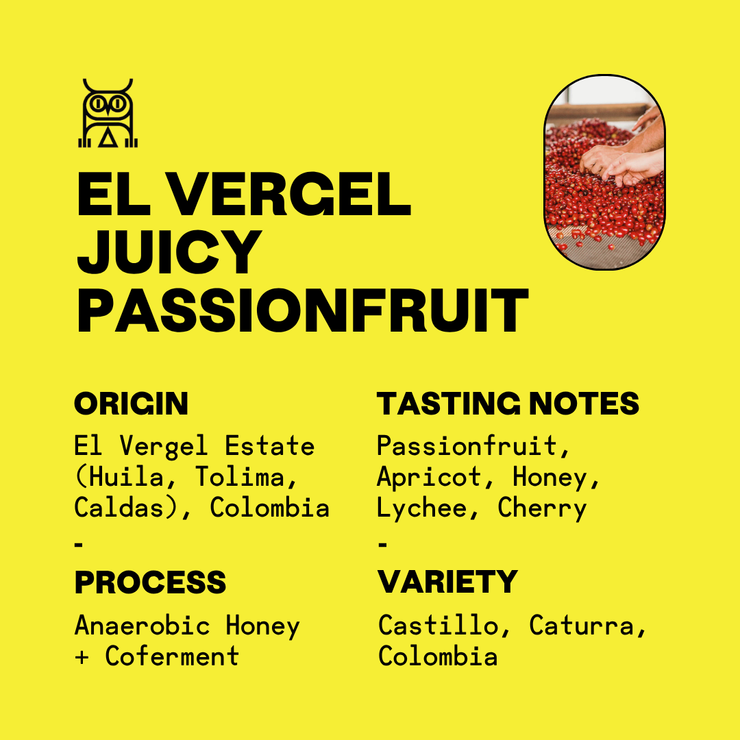Colombia Juicy Passionfruit | El Vergel