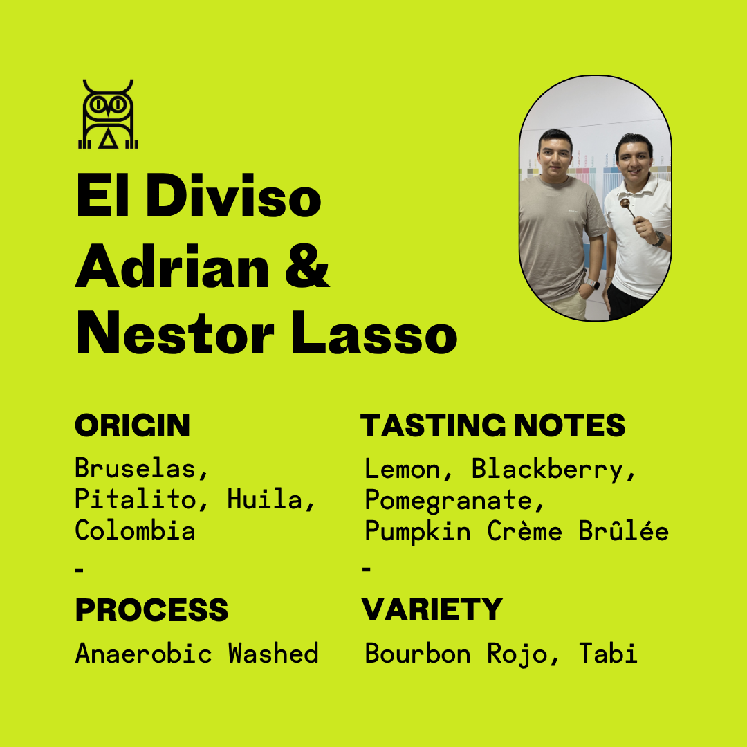 El Diviso Adrian & Nestor Lasso Anaerobic