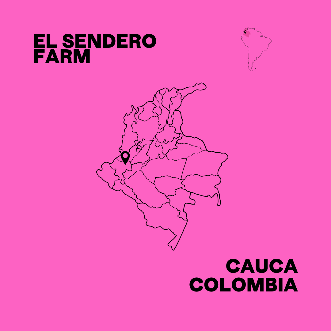 Caturra Floral - Andrés Martinez