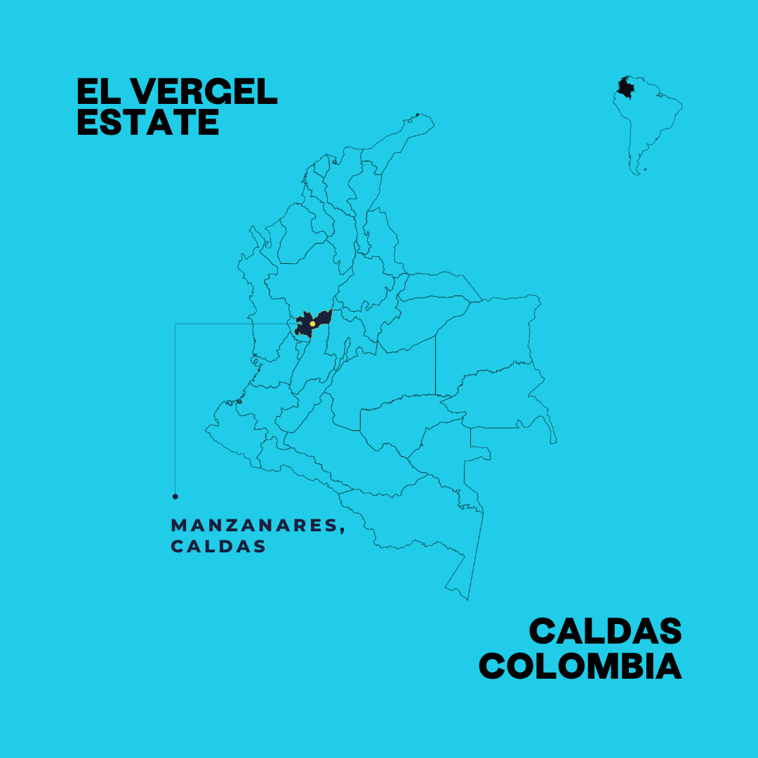 Colombia Natural Guamo Microlot | Reforest Project