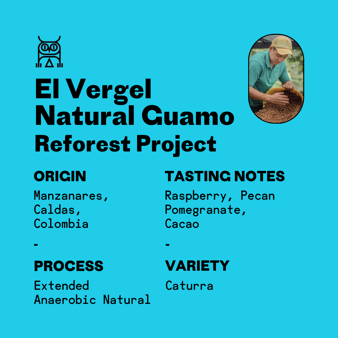 Colombia Natural Guamo Microlot | Reforest Project