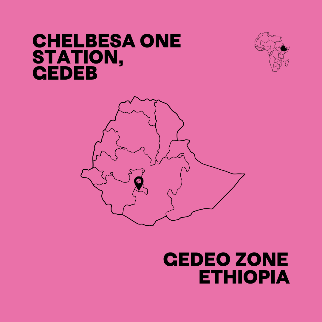 Ethiopia Chelbesa