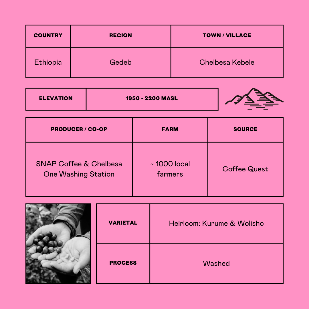 Ethiopia Gedeb coffee origin info card with tables reading text indicating country, region, elevation, producer, farm, source, varietal, process