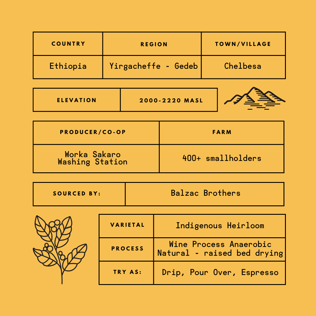 Ethiopia Sakaro Wine Process
