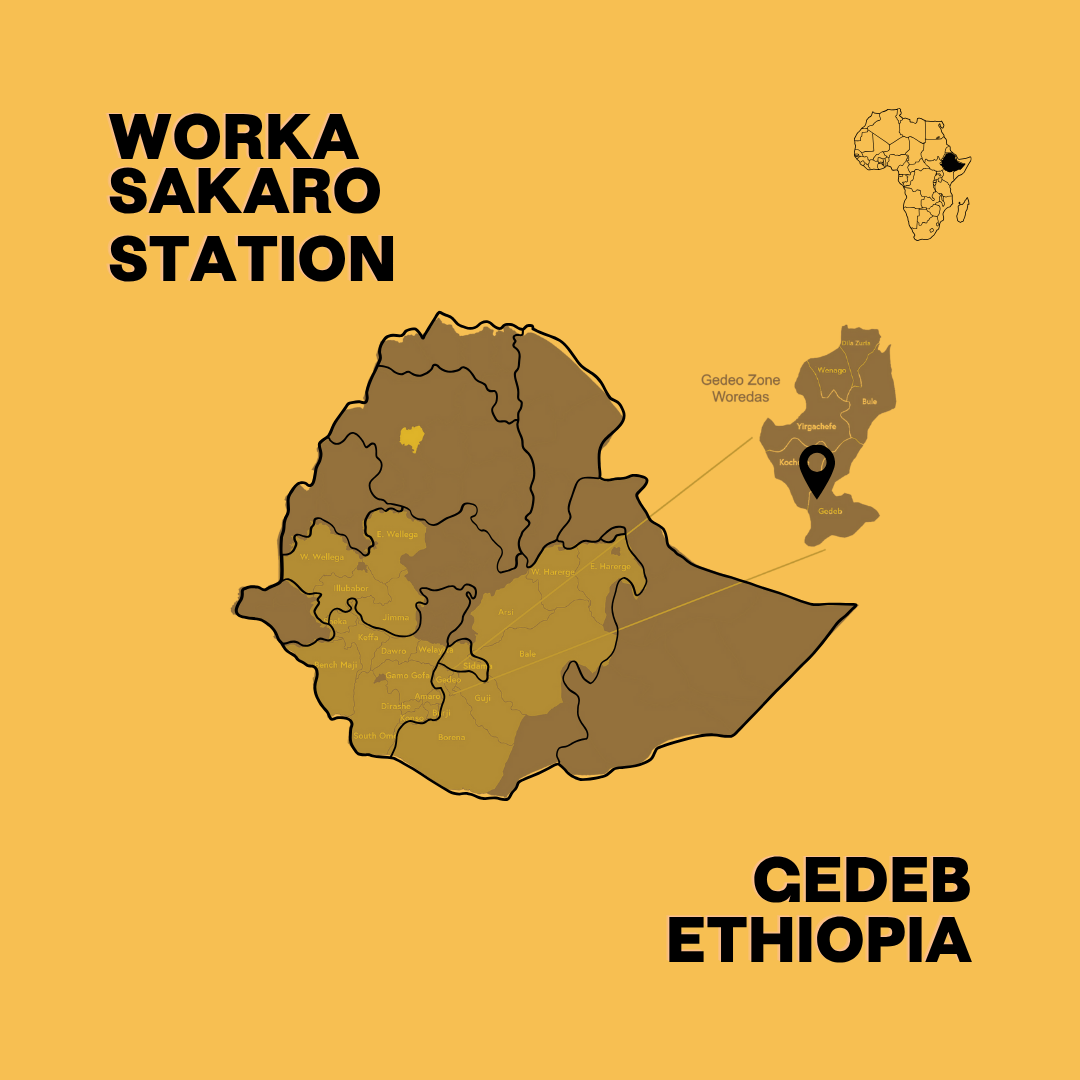 Ethiopia Sakaro Wine Process