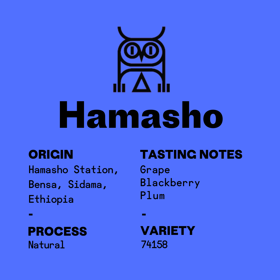 Second State Coffee | Ethiopia Hamasho Natural | Whole Bean Specialty