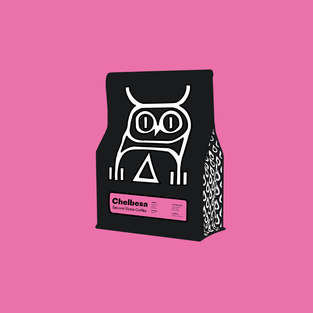 Ethiopia Chelbesa Washed