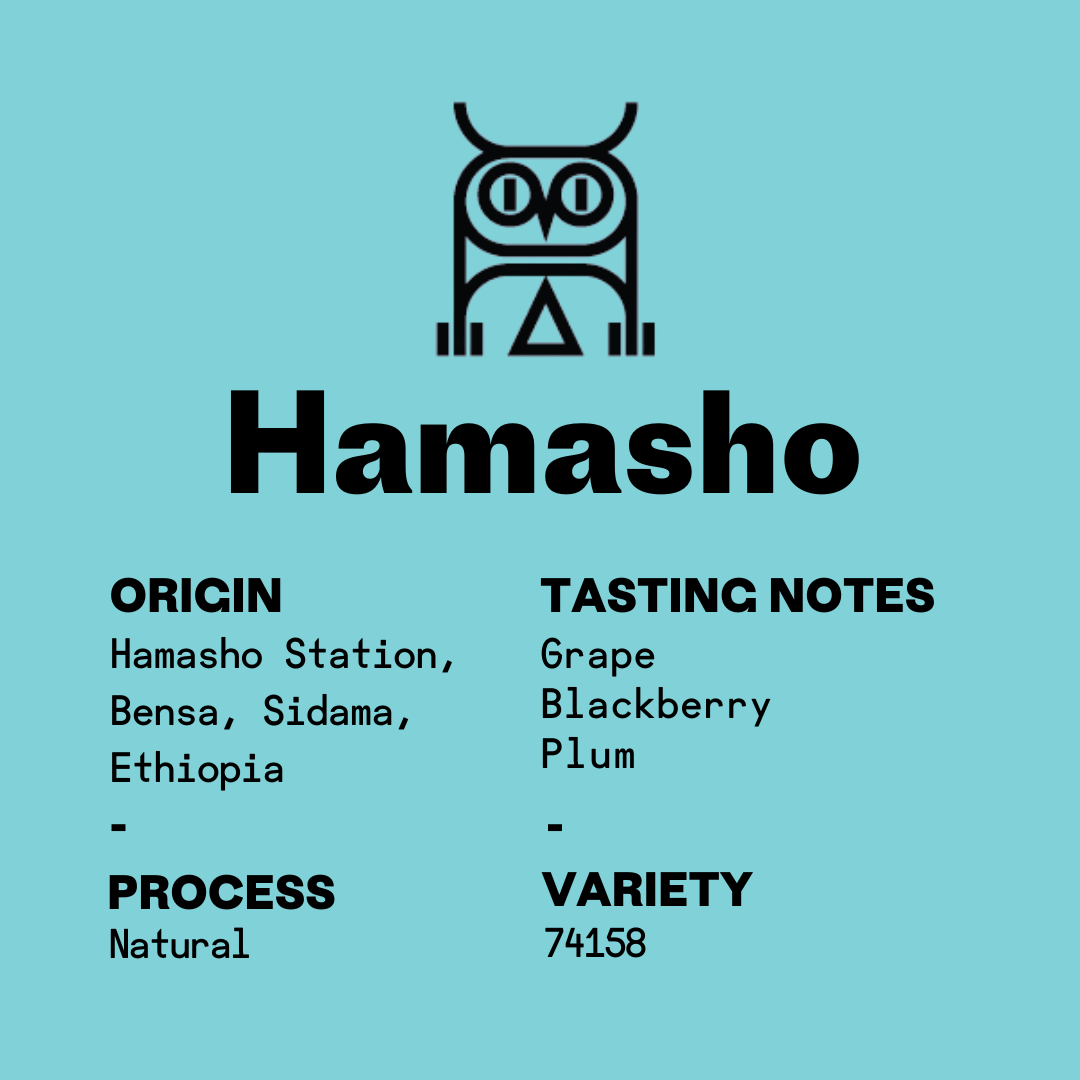Ethiopia Hamasho Natural