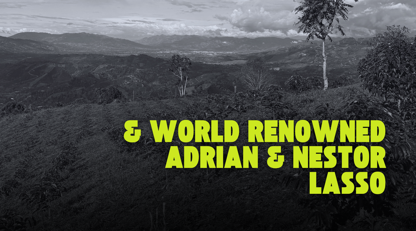 Black and white landscape with yellow-green text overlay 'World Renowned Adrian & Nestor Lasso'.