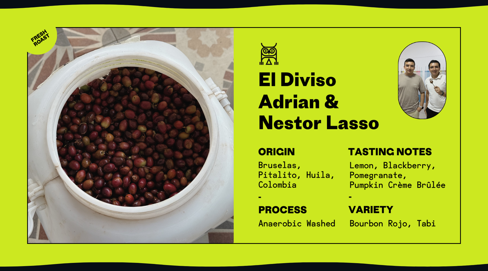 Bucket of coffee cherries with branding and information about El Diviso Adrian & Nestor Lasso specialty Colombia coffee 
