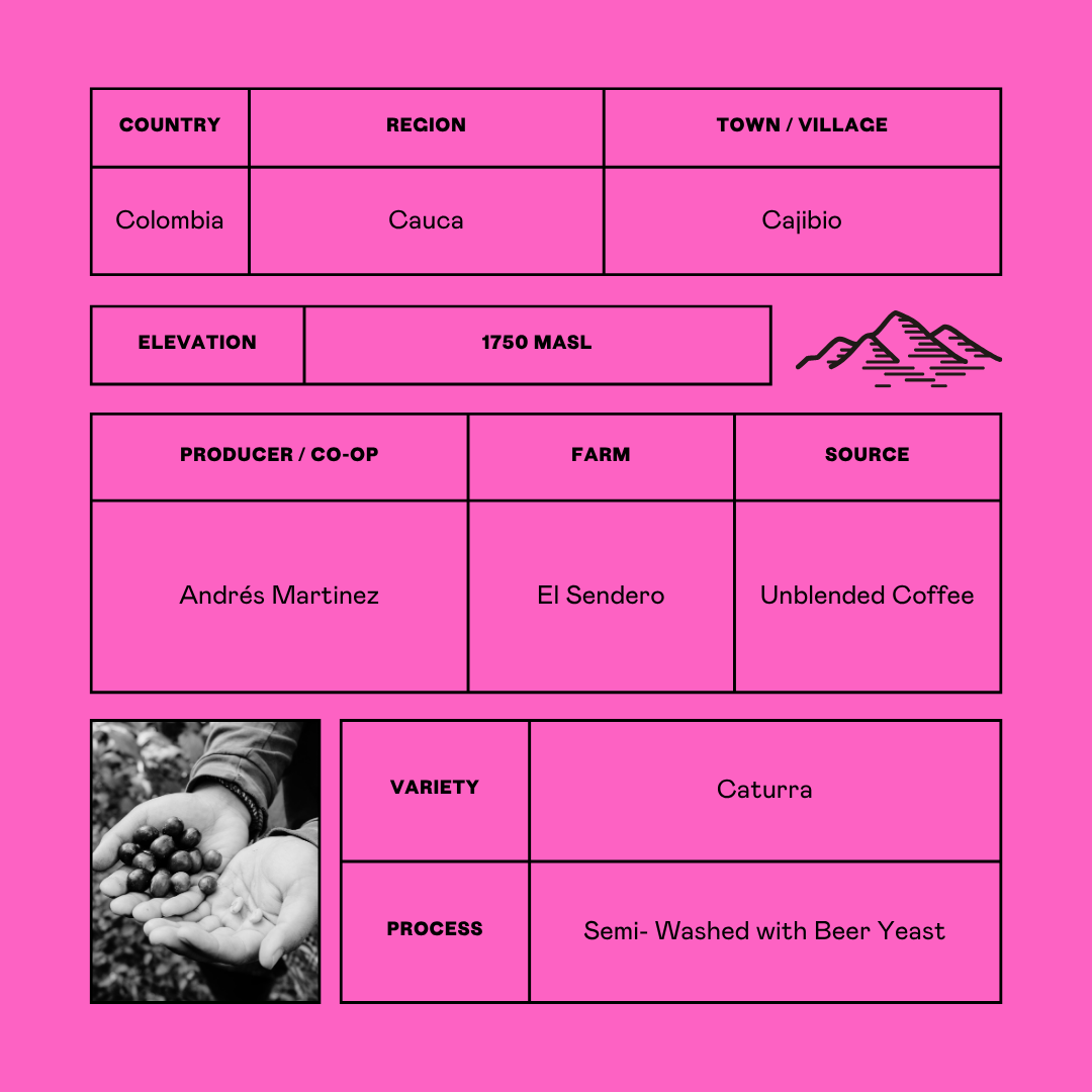 Caturra Floral - Andrés Martinez