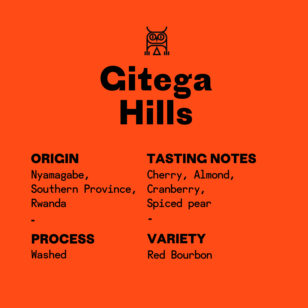 Rwanda Gitega Hills Washed