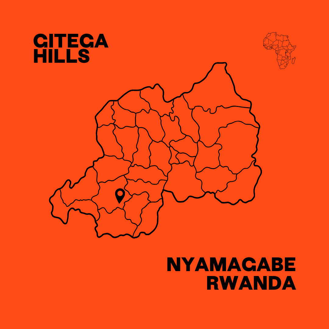 Rwanda Gitega Hills Washed