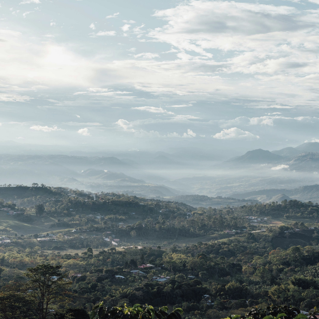 Colombia Sidra Pre-Release