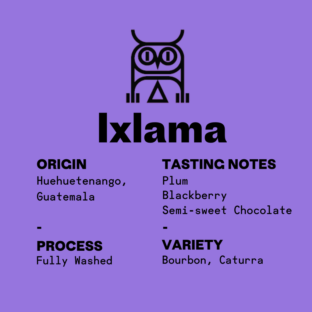retail bag label close up of ixlama Guatemala specialty coffee second state coffee. origin: Huehuetenango. process: fully washed. tasting notes: plum, blackberry, semisweet chocolate. Variety: bourbon, Caturra