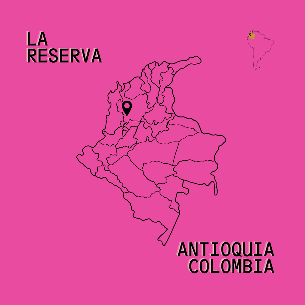 Colombia - La Reserva Anaerobic Natural