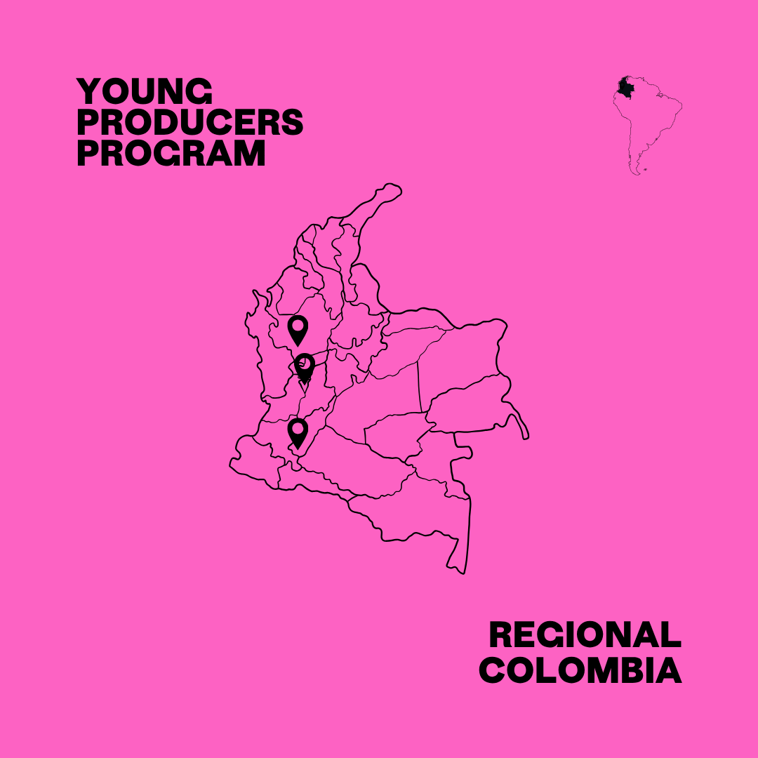 Colombia Young Producer Development Lot