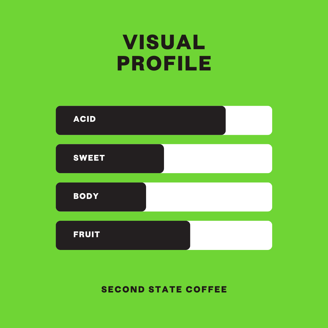 visual profile map showing relative acidity, sweetness, body, and fruit perception for Papua New Guinea coffee with acidity being highest, fruitiness just behind, slightly lower sweetness, and very low body.