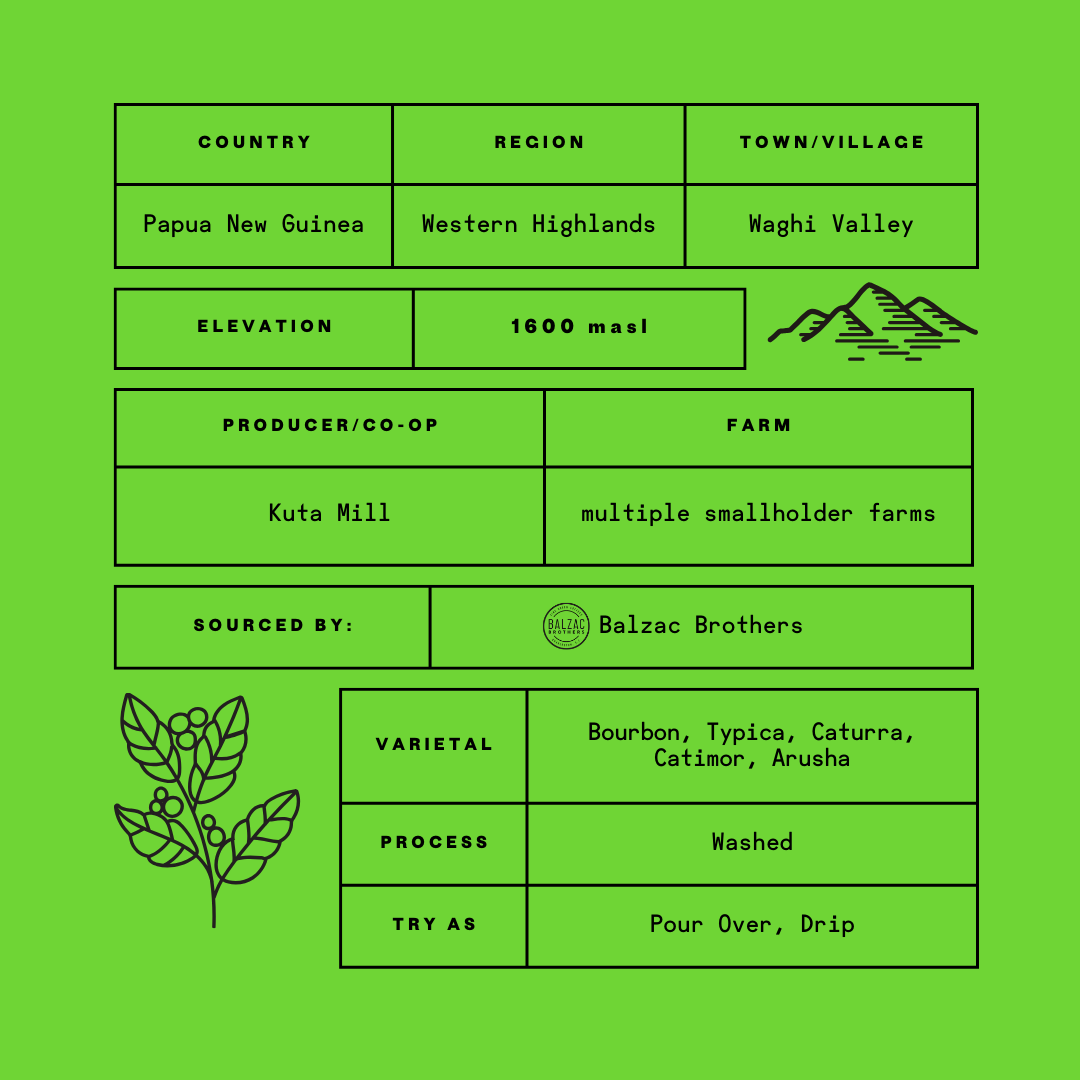 Specialty Coffee origin information Papua New Guinea