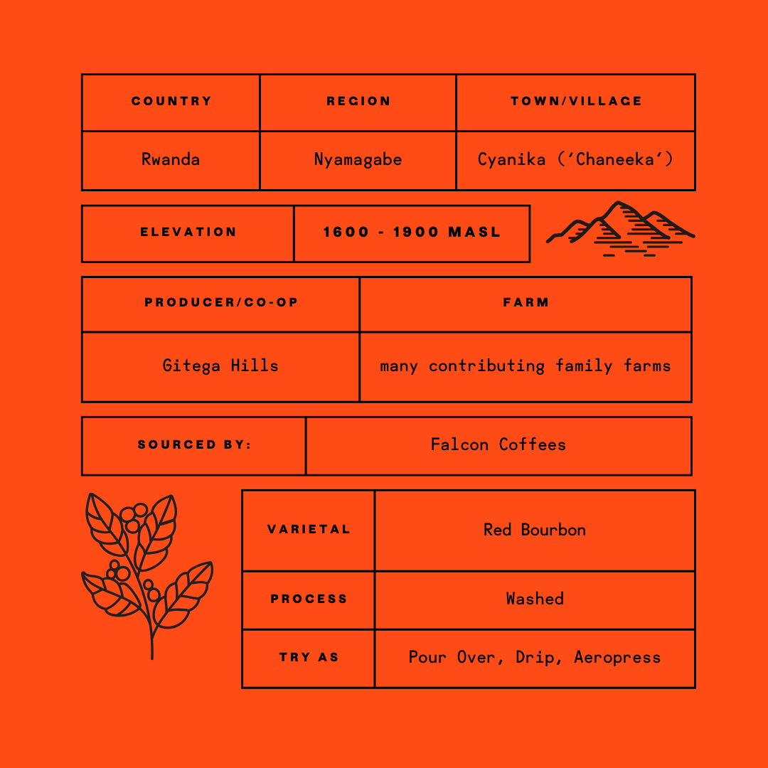 Rwanda Gitega Hills Washed