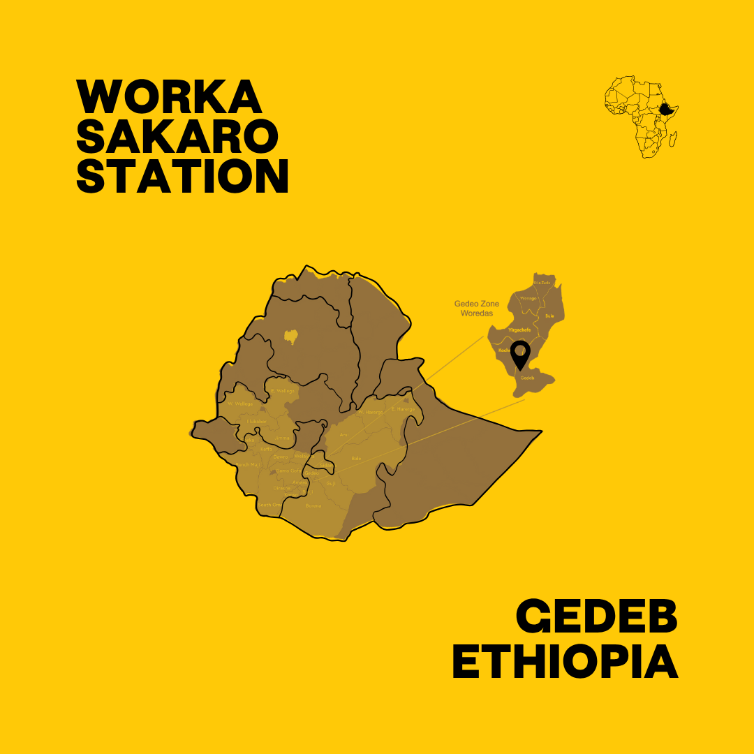 Ethiopia Sakaro Wine Process