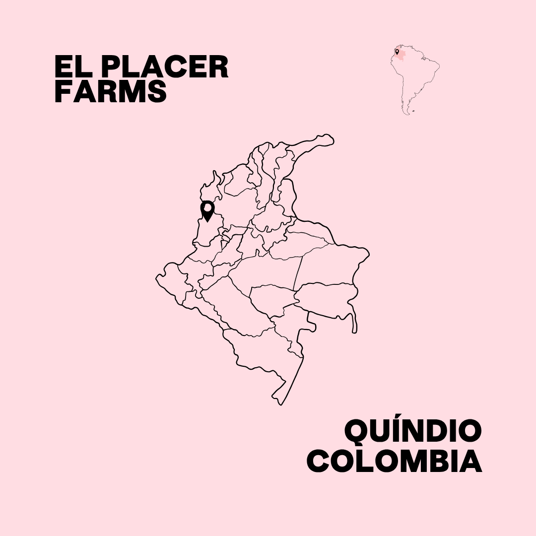 Sebastián Ramírez Pink Bourbon